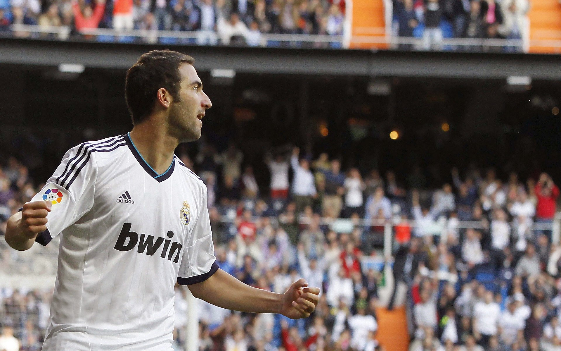 体育产业年度报告